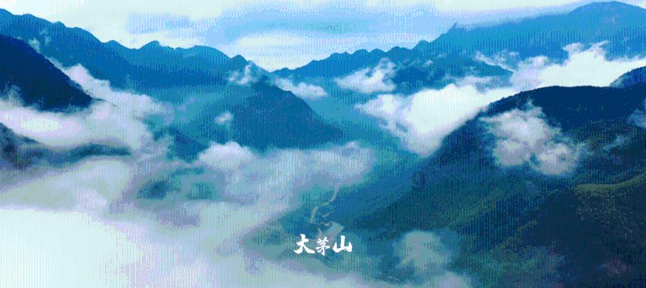 燃烧吧大脑免广告最新版