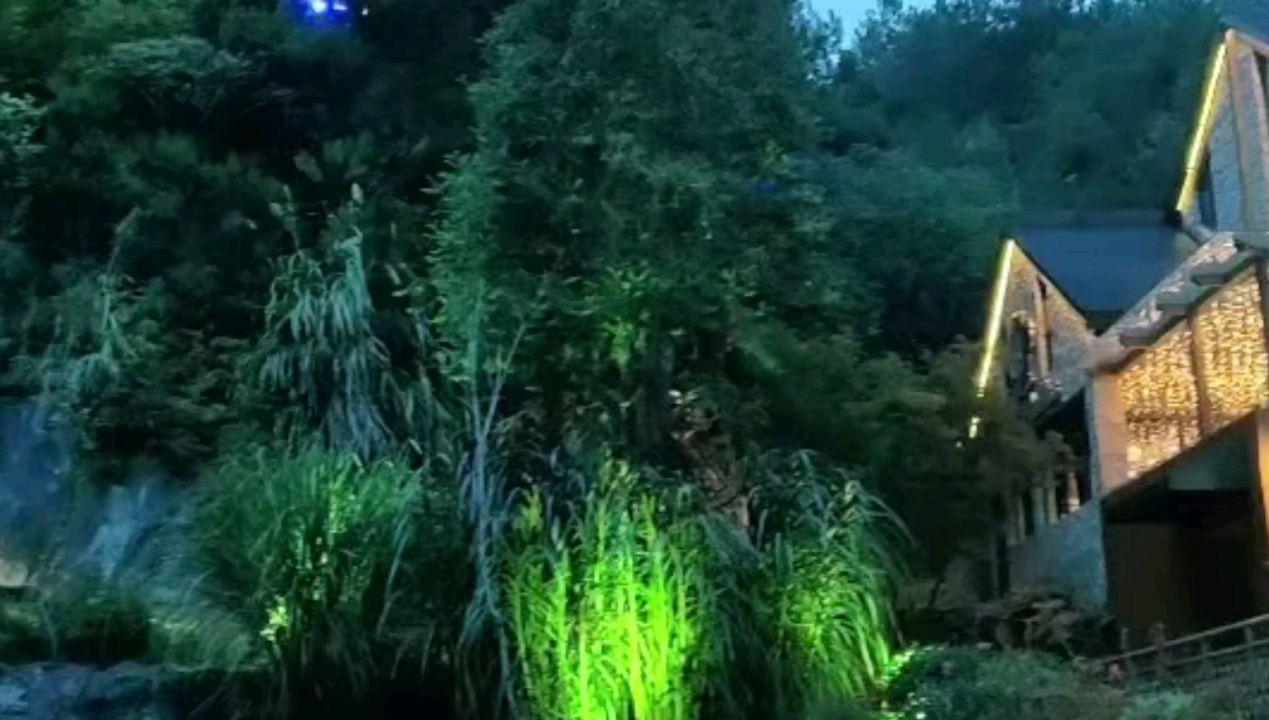 了解同甘共苦,誓随相随。十二生肖平台,探索知识星球的奇妙之旅